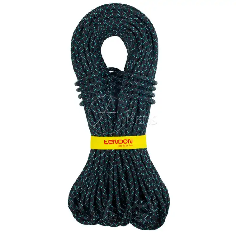 Tendon Kletterseil Master PRO 8.9 Imprägniert Einfach-Halb-Zwillings-Seil grün-