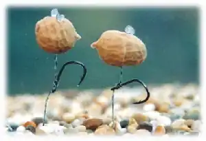 Enterprise Tackle Pop Up Tigernut