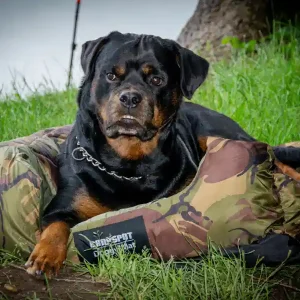 Carpspot Doggy Mat L