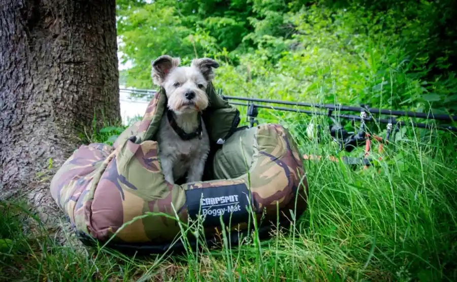 Carpspot Doggy Mat S