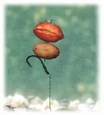 Enterprise Tackle PopUp Peanut