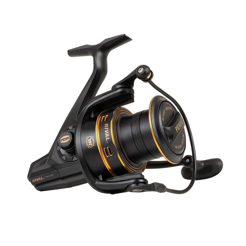Penn Rival Longcast Gold 8000