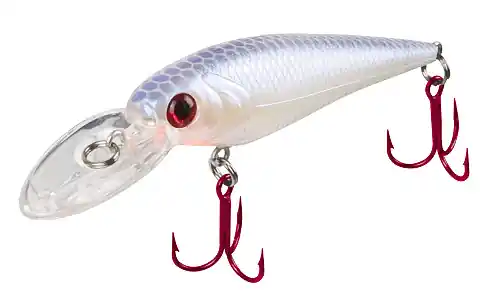 Doiyo Nintai Ukabu 52 s SP