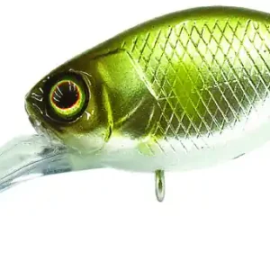 Illex Diving Chubby 38