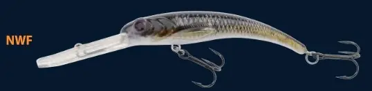 Doiyo Azuki 92 Fukai - NWF