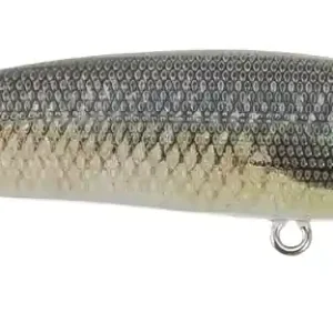 Doiyo Yaseta 88 Hiratai - NWF