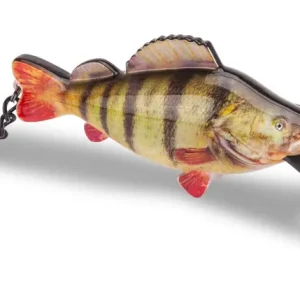 Sänger Beauty Perch-Barsch Opener