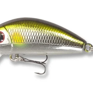 Doiyo Risu 44