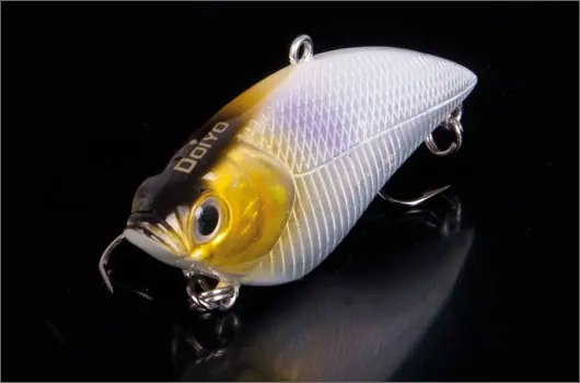 Doiyo Sosa 71 SP