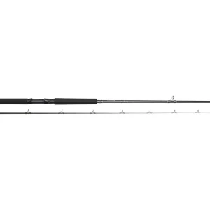 Westin W2 Predator Trolling 255cm H 60-180g 2sec