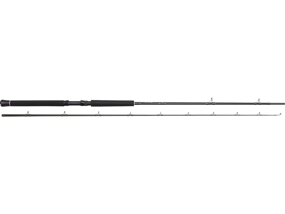 Westin W2 Predator Trolling 255cm H 60-180g 2sec