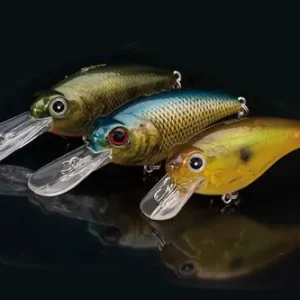 Doiyo Nomin 60 Fukai Fl. AY