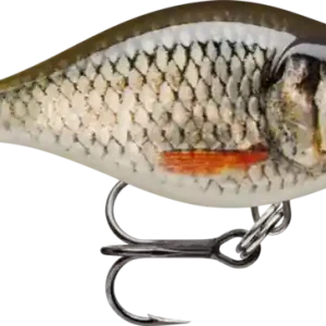 Rapala X-Light Crank Mid Runner 03 Live Roach