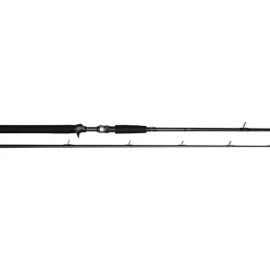 Westin W3 Jerkbait-T 2nd 6'6"/195cm H 20-80g 2sec