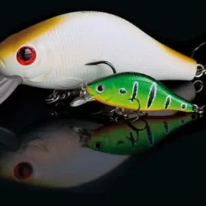 Doiyo Yuragu 52 Hiratai fl.BG