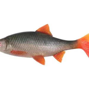 Fox Rage Ultra Realistic Replicant Roach Ultra Natural Roach