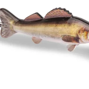 Doiyo Beauty Zander Opener