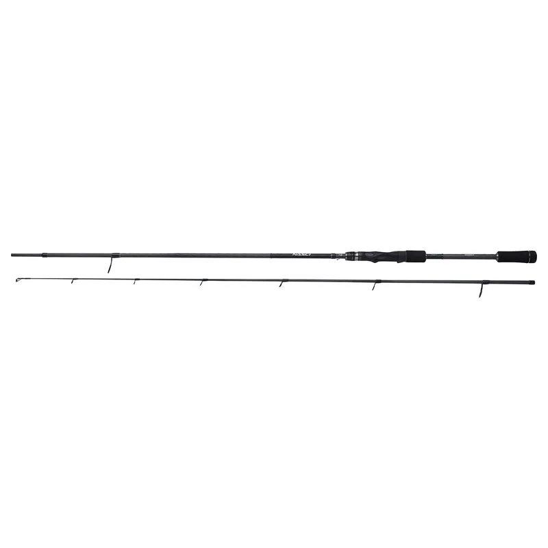 Shimano Nasci Spinning Fast 2,49m 21-56g