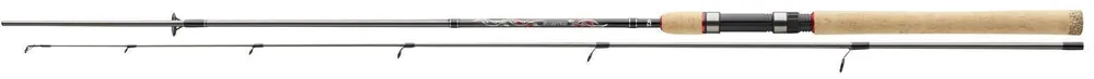 Daiwa Sweepfire Spin 3,00m 40-100g