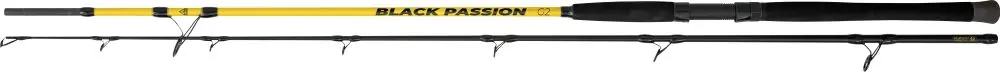 Black Cat Passion G2 Spin 2,70m 50-200g