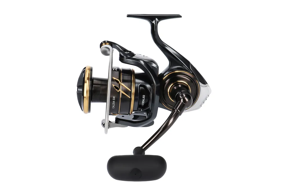 Daiwa 23 Caldia SW 8000H