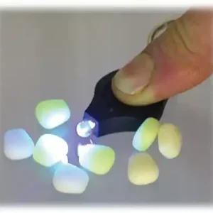 Enterprise Tackle UV Torch Kit