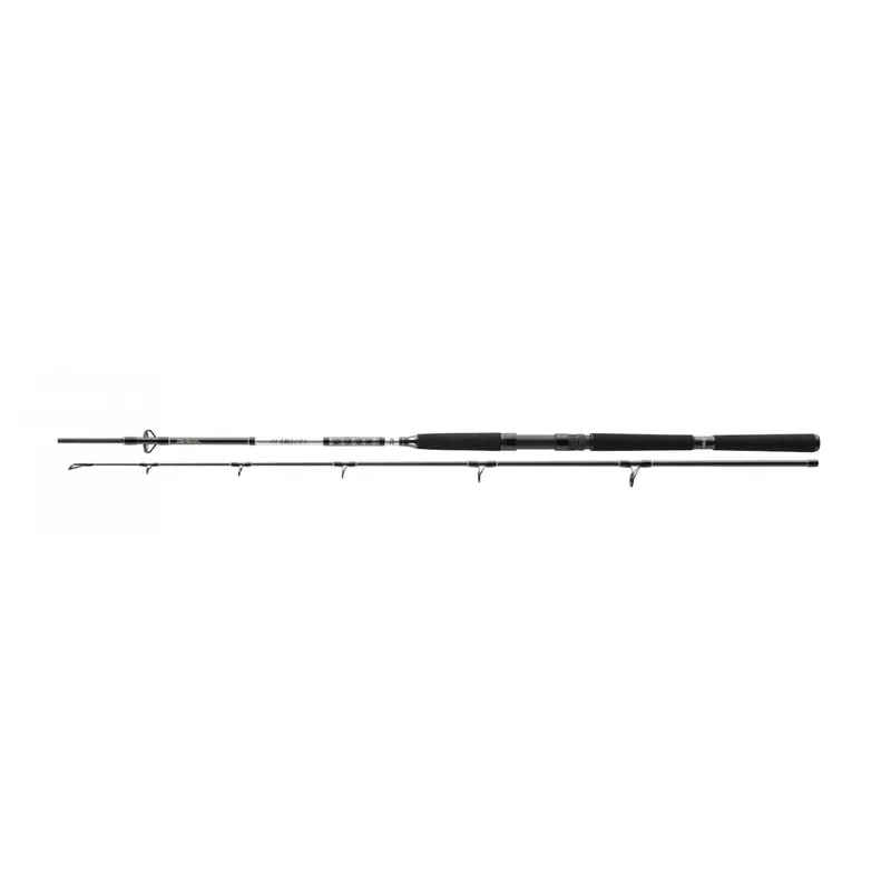 Daiwa BG Pilk 2,10m 40-125g