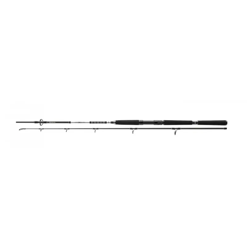 Daiwa BG Pilk 2,40m 50-165g