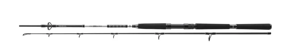 Daiwa BG Boat 2,10m 150-400g