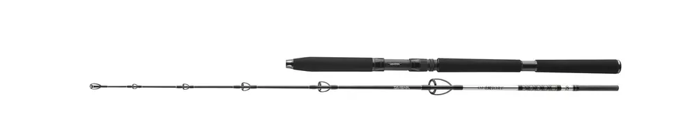 Daiwa BG Jigger 1,70m 150-400g