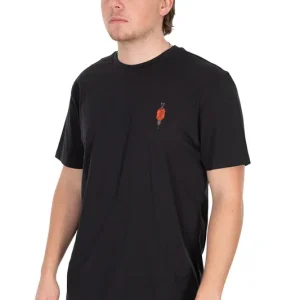 Fox Indicator T Orange