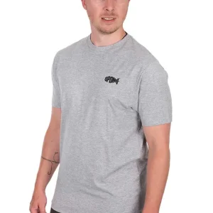Spomb T Shirt Grey