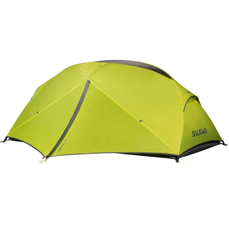 Salewa Denali 4 Trekkingzelt Cactus/Grey-