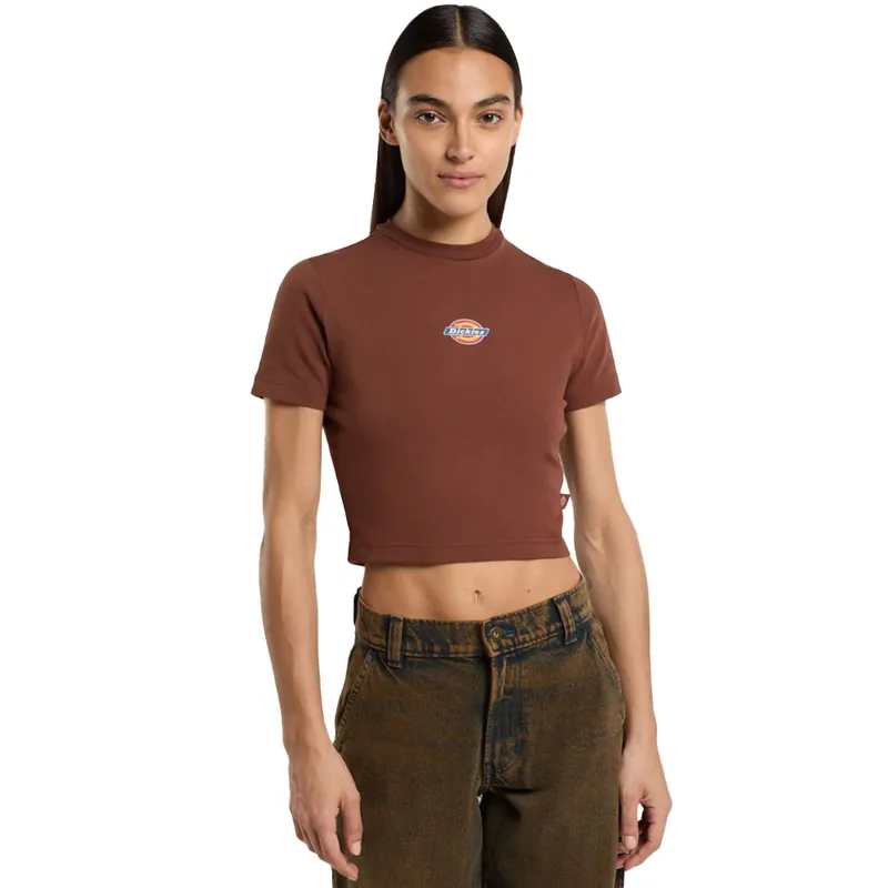 Dickies Maple Valley Tee Top Cappuccino- S