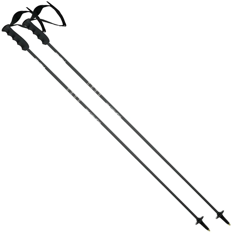 Head Porsche Carbon Alpinstöcke Black/White/Anthracite-