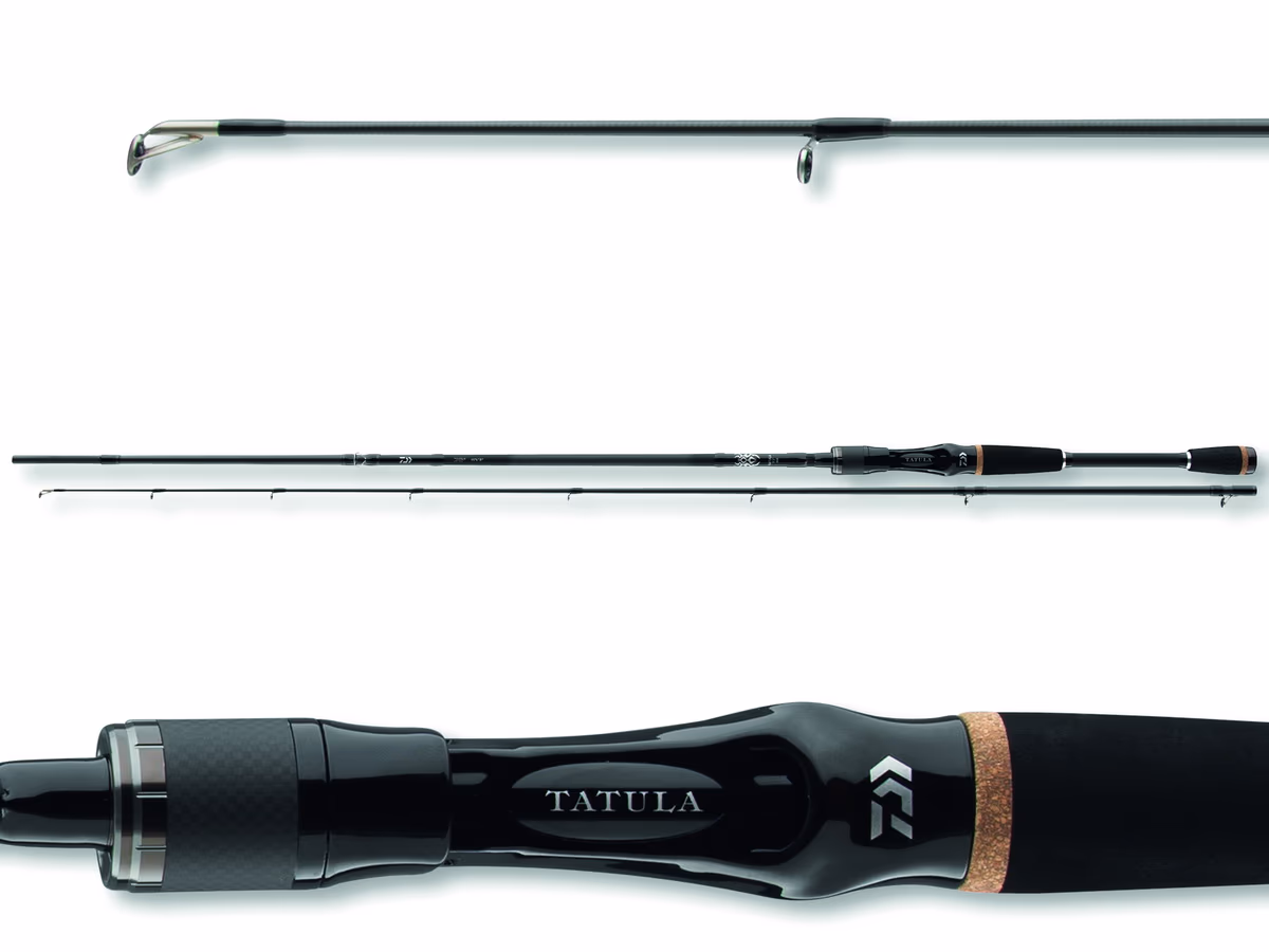 DAIWA Tatula BC 2.15m 8-35g Steckrute Cast