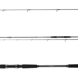 DAIWA Seahunter X Sea Trout 1022ML 2tlg 10-40g 3.10m