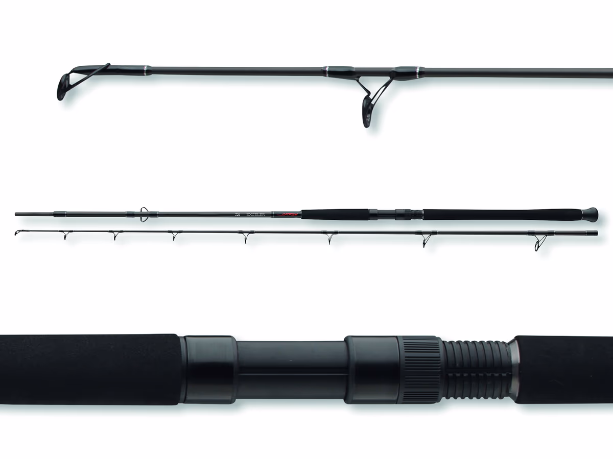 DAIWA Exceler Catfish Boje 1002XXH 2S|200-600g|3.00m