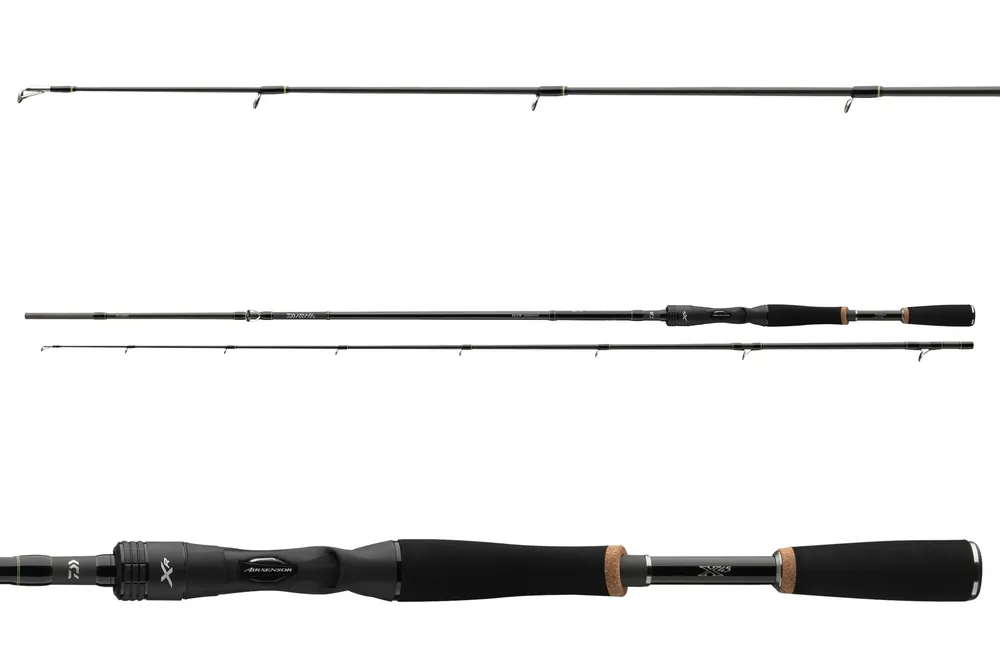 DAIWA Prorex XR Baitcast 702XH 2tlg 14-42g 2.10m