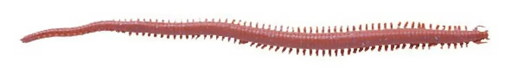 Berkley Gulp! Saltwater 15 cm 59 g Dark Brown - Gummifische,Twister