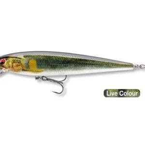 DAIWA PROREX Minnow 120 F-SR live ayu 12cm 17g 1st