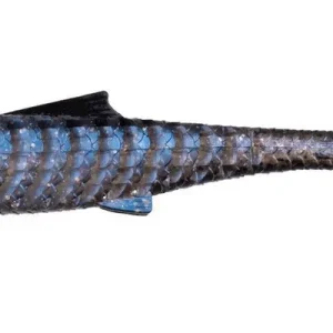 ZECK Rippler 16cm Whitefish  - 2 pcs