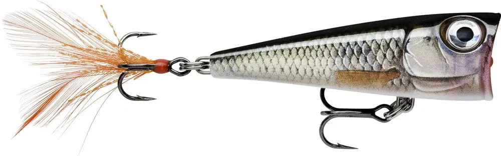 RAPALA X-Light Pop 50 ROL, 4cm 4,5g Live Roach