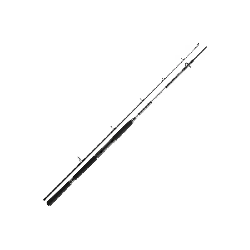 Daiwa BG Meeresruten-1,70 m