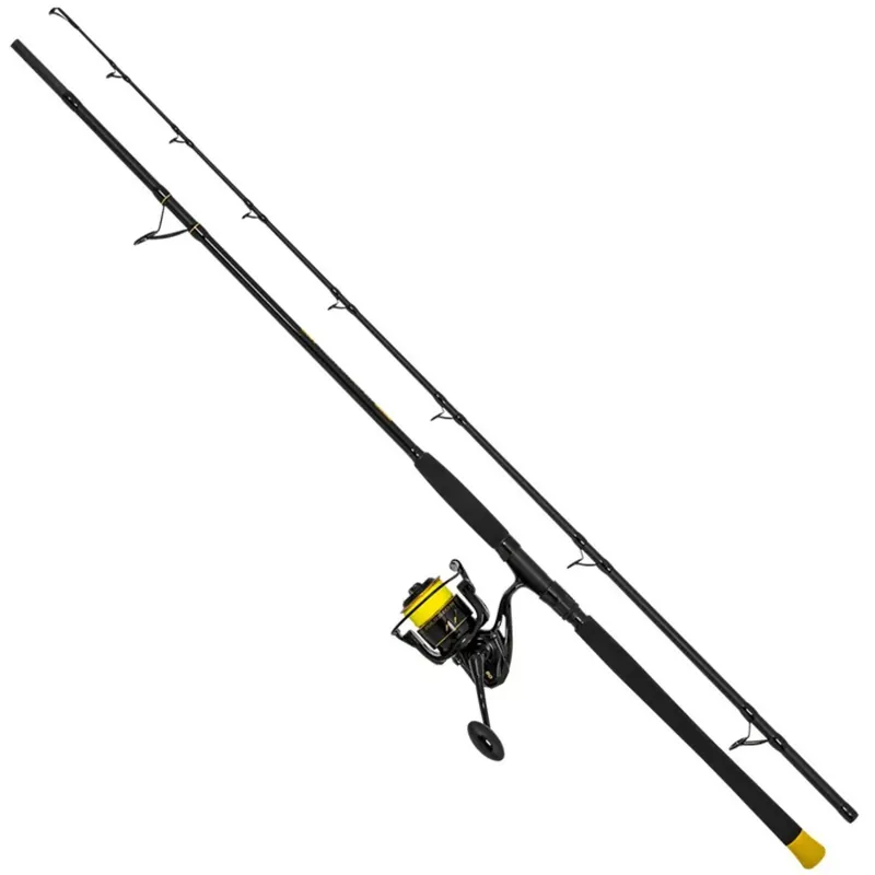 Black Cat Hard Core Wallercombo 3,00 m WFG: 600 g-