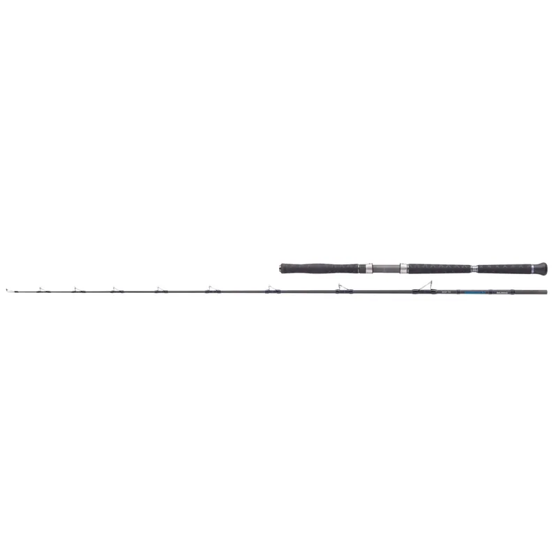 Balzer Adrenalin Heavy 700 2,15 m WFG: 200 – 700 g-