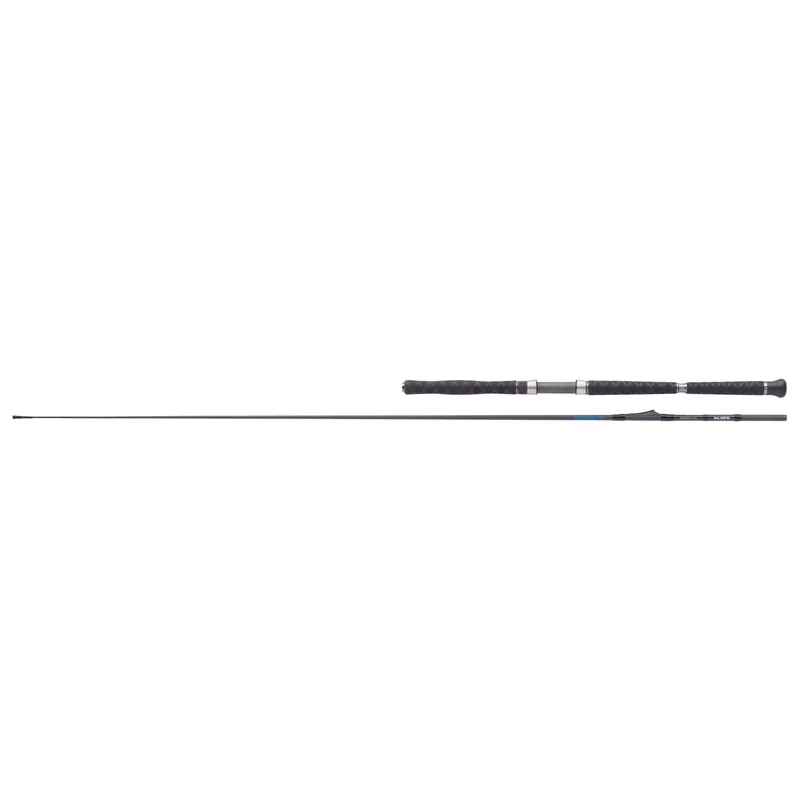Balzer Adrenalin Inline Heavy 700 2,15 m WFG: 200 – 700 g-