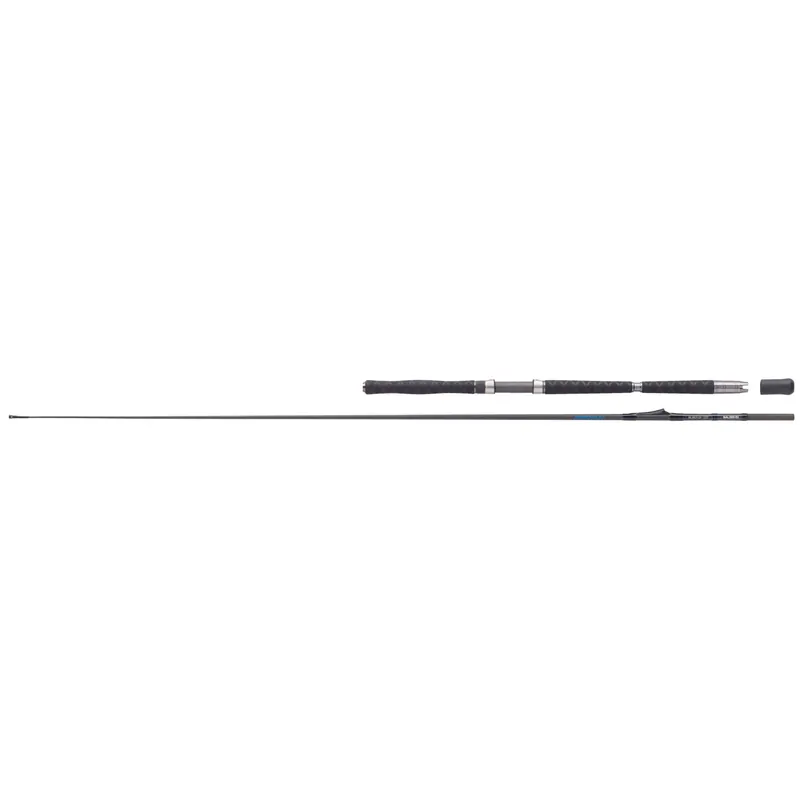 Balzer Adrenalin Inline Ultra Heavy 1200 2,20 m WFG: 400 – 1200 g-