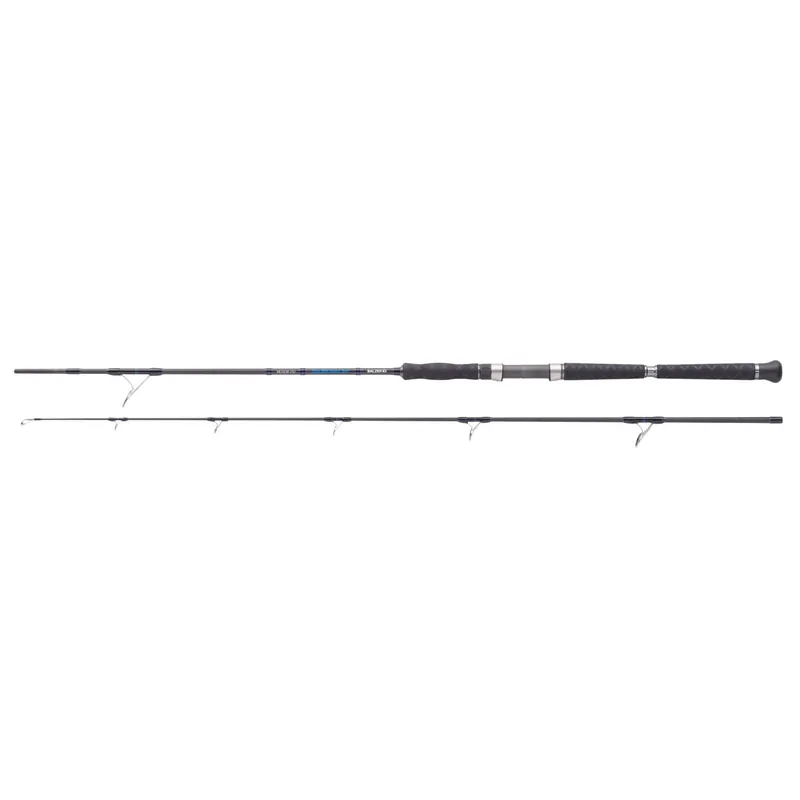 Balzer Adrenalin Medium S 250 2,40 m WFG: 90 – 250 g-