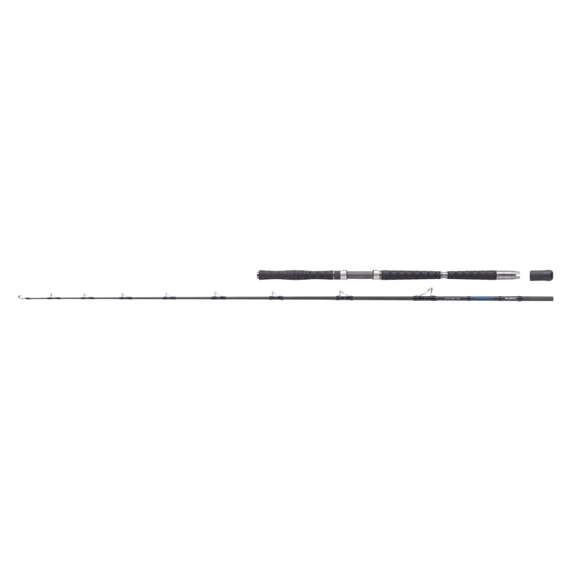 Balzer Adrenalin Ultra Heavy 1200 2,20 m WFG: 400 -1200 g-